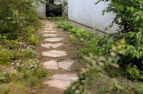 Pad met stapstenen tussen de varens