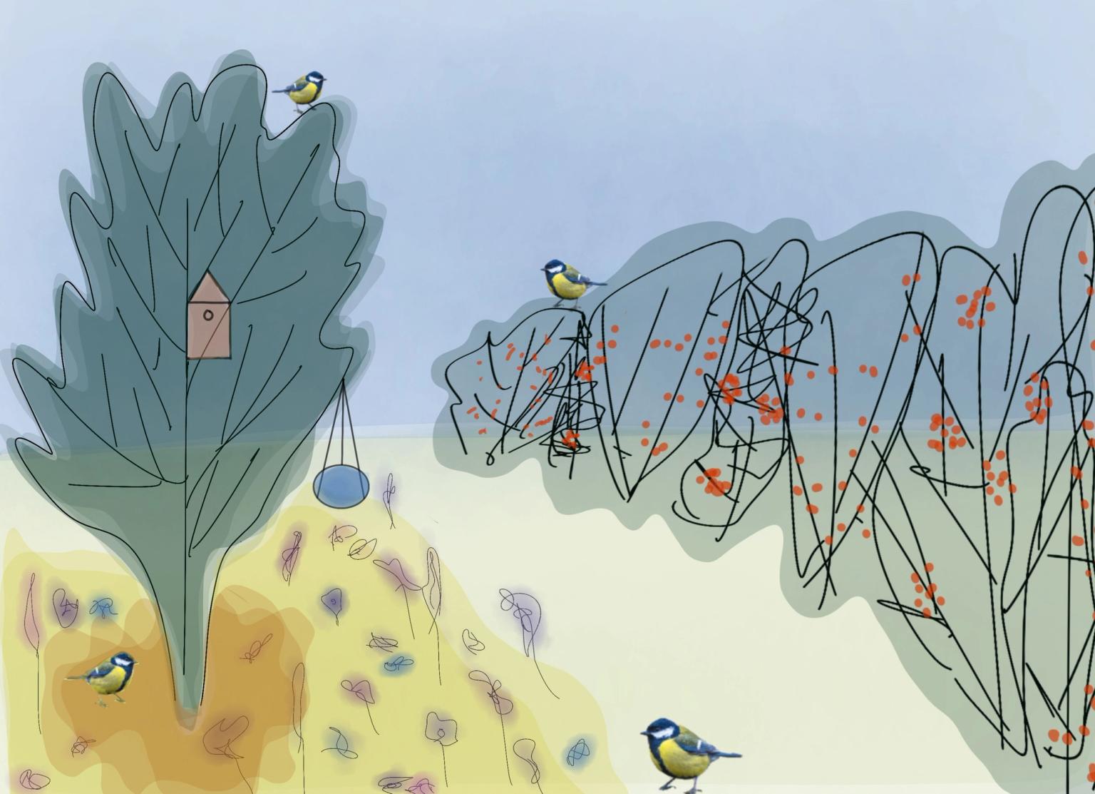 Schets van tuin met koolmezen