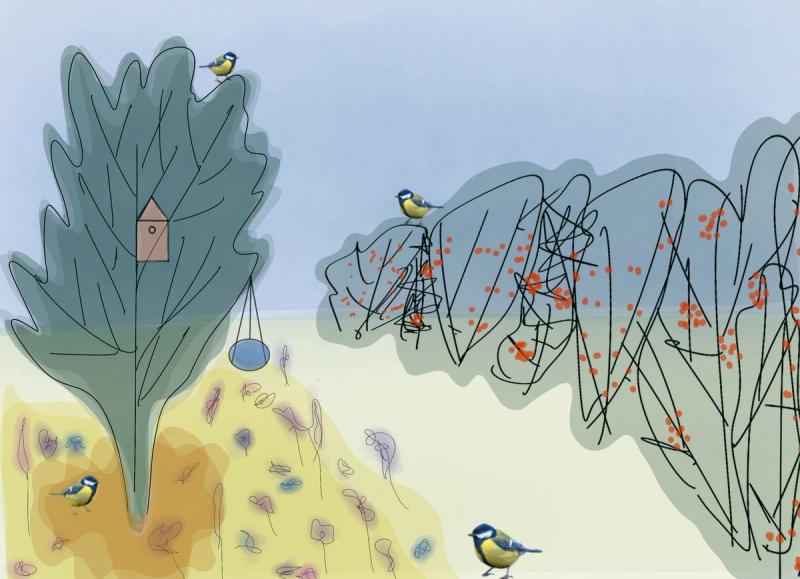 Jouw tuin door de ogen van een dier