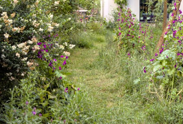 Pad tussen de bloemen