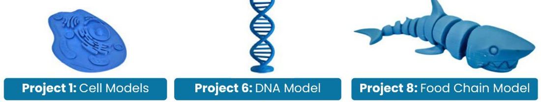 Three sample projects from Level 10
