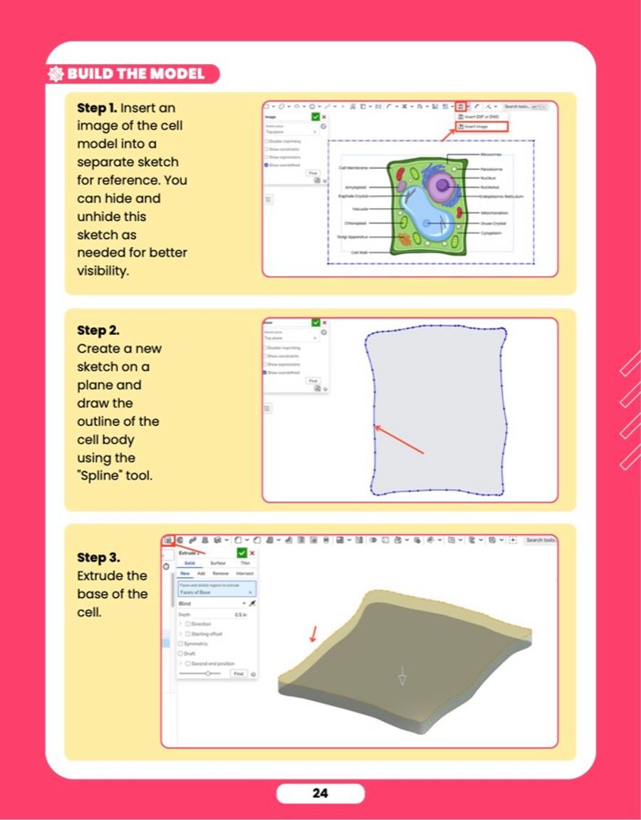 Cell Models, sample lesson page 4