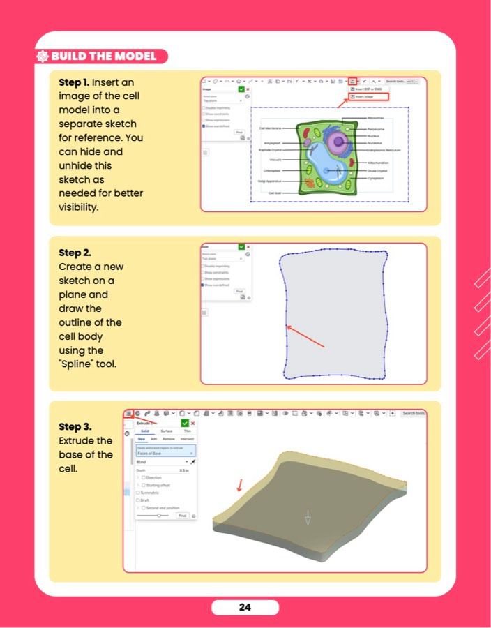 Cell Models, sample lesson page 4