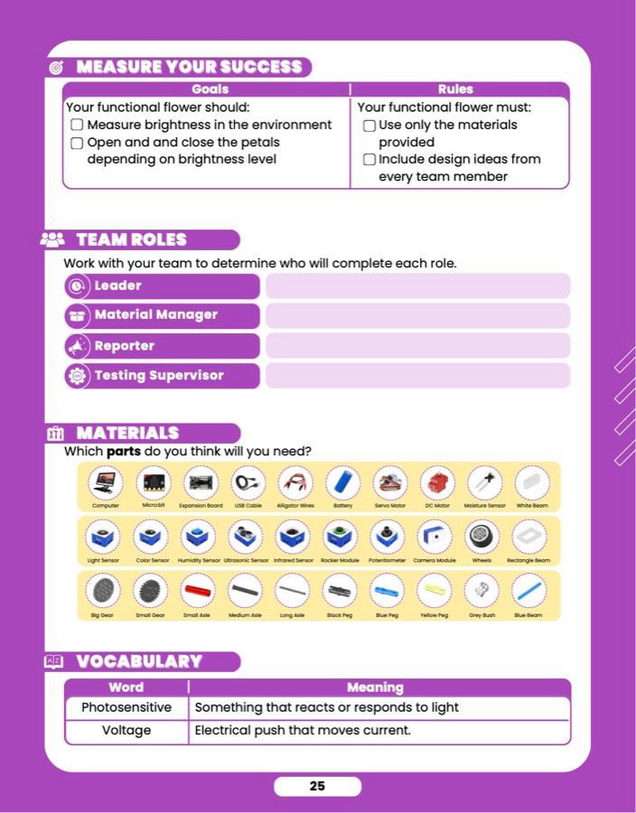 Functional Flowers, sample lesson page 3