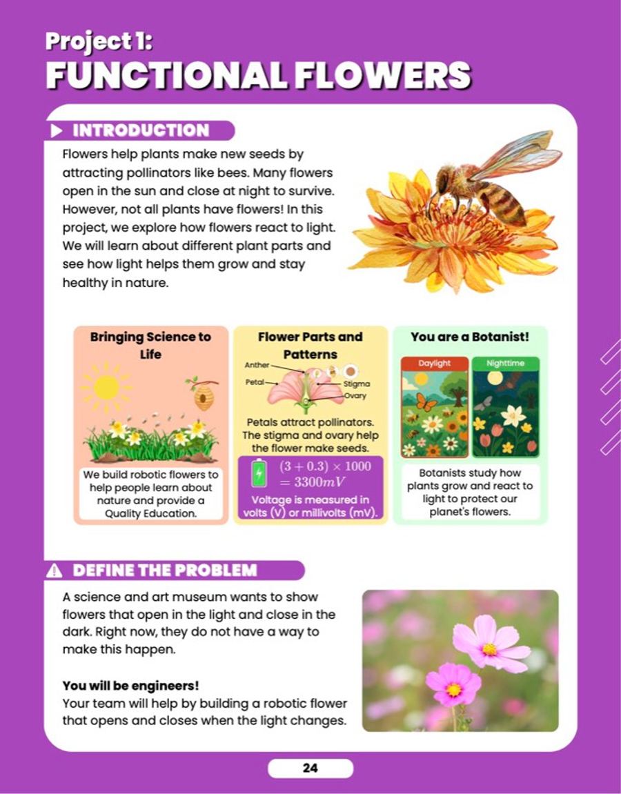 Functional Flowers, sample lesson page 2