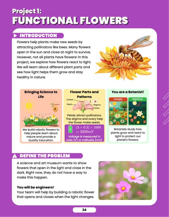 Functional Flowers, sample lesson page 2
