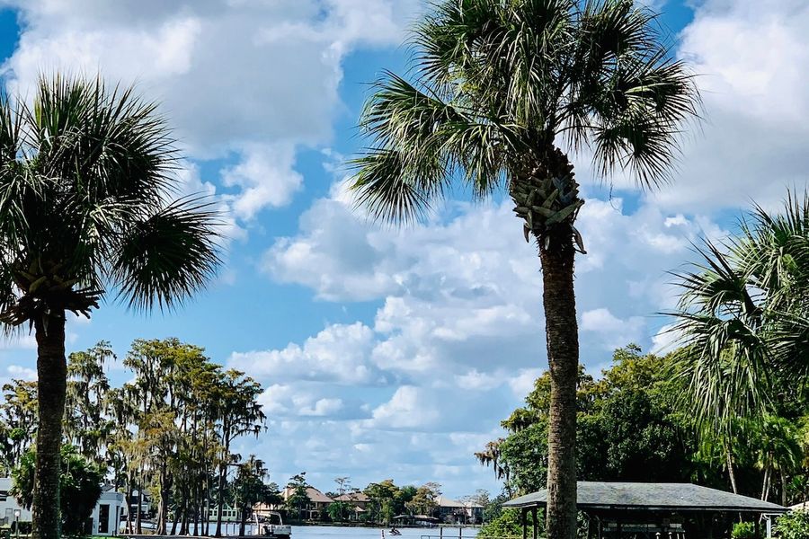 Central Florida Lakefront Homes: Your Guide to Waterfront Living