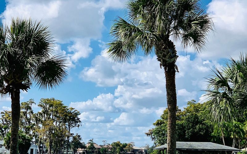 Central Florida Lakefront Homes: Your Guide to Waterfront Living
