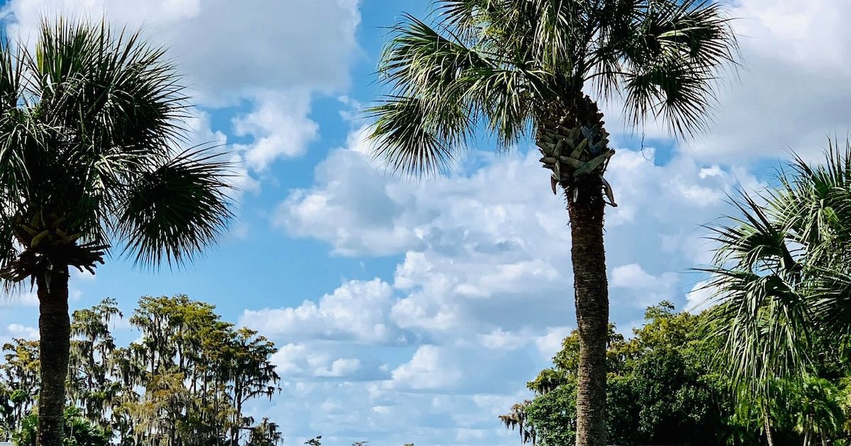 Central Florida Lakefront Homes: Your Guide to Waterfront Living
