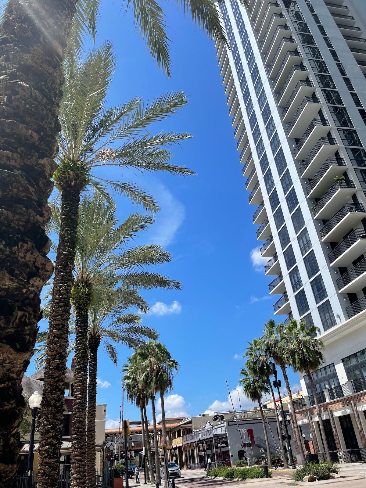 Downtown Orlando Neighborhood Guide: Your Ultimate Local Experience