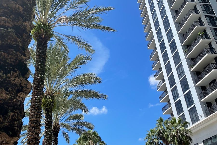 Downtown Orlando Neighborhood Guide: Your Ultimate Local Experience