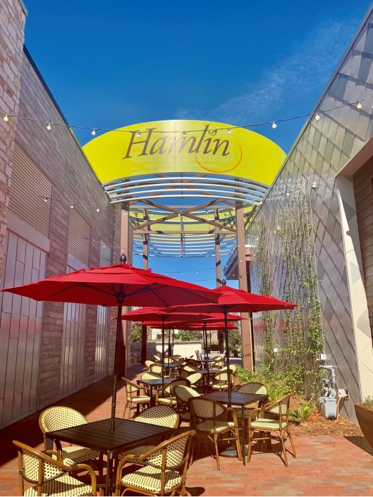 Let's Visit Hamlin A Village In Winter Garden - Horizon West District!
