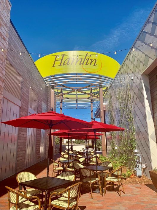Let's Visit Hamlin A Village In Winter Garden - Horizon West District!