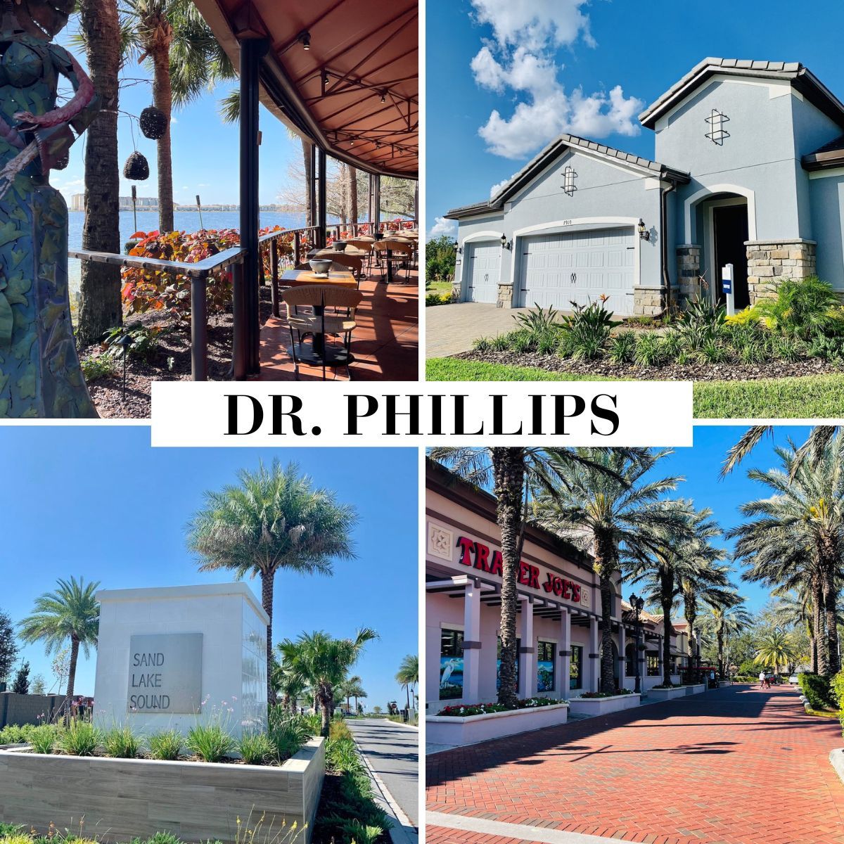Relocating to Dr. Phillips, Florida