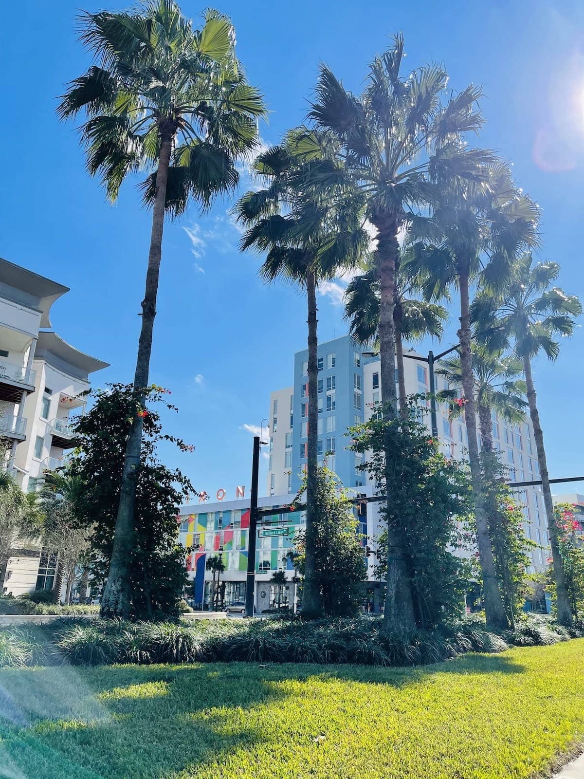 Lake Nona Neighborhood Guide: Where to Eat, Stay & Play