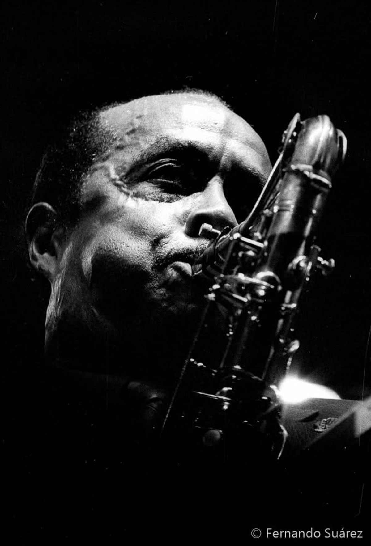 Buddy Tate
