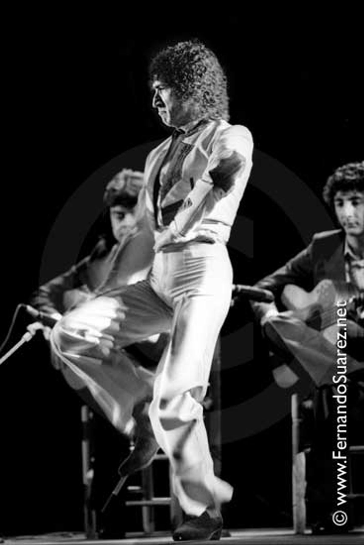 Flamenco 11