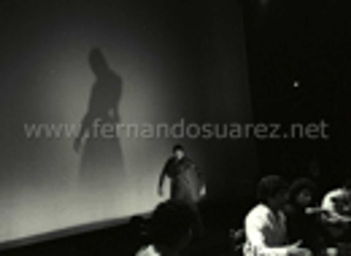 Flamenco 13