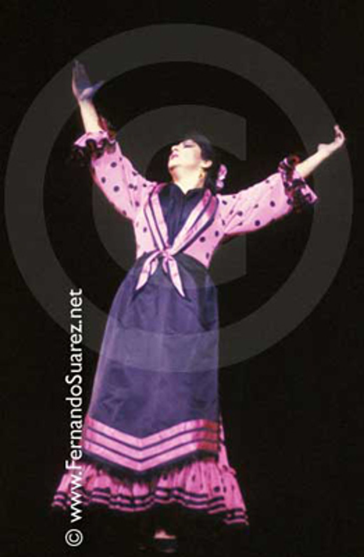 Flamenco 14