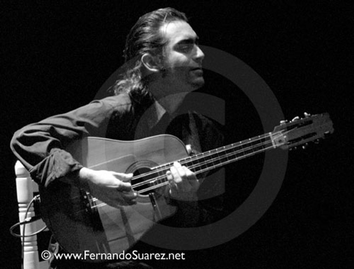 Flamenco 4