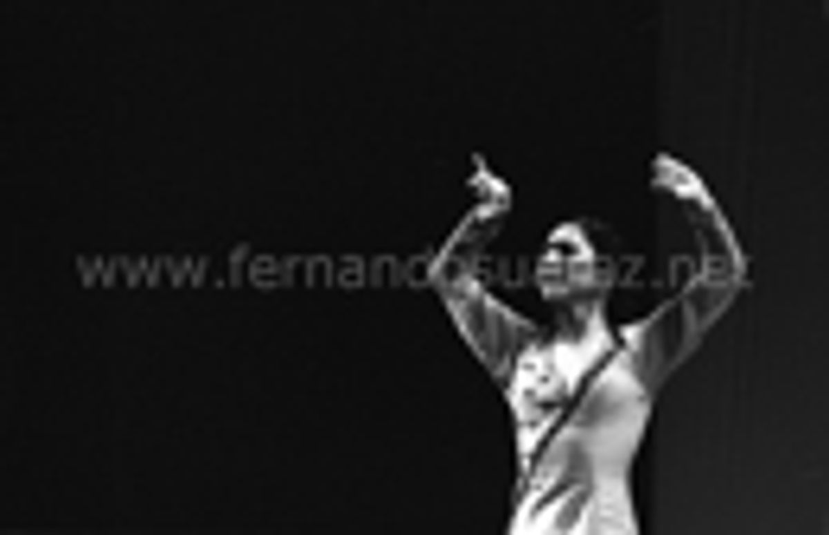 Flamenco 12