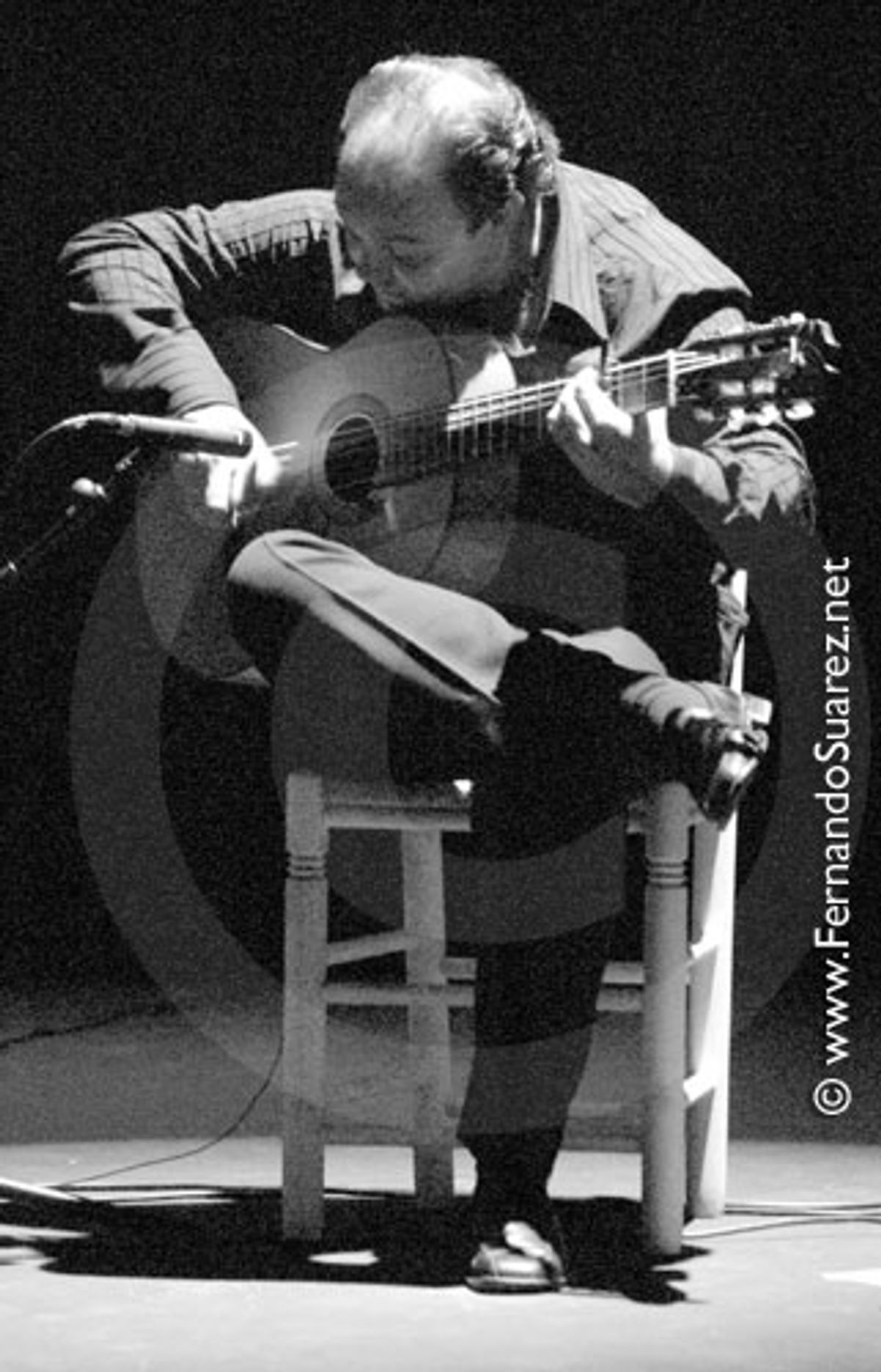 Flamenco 5