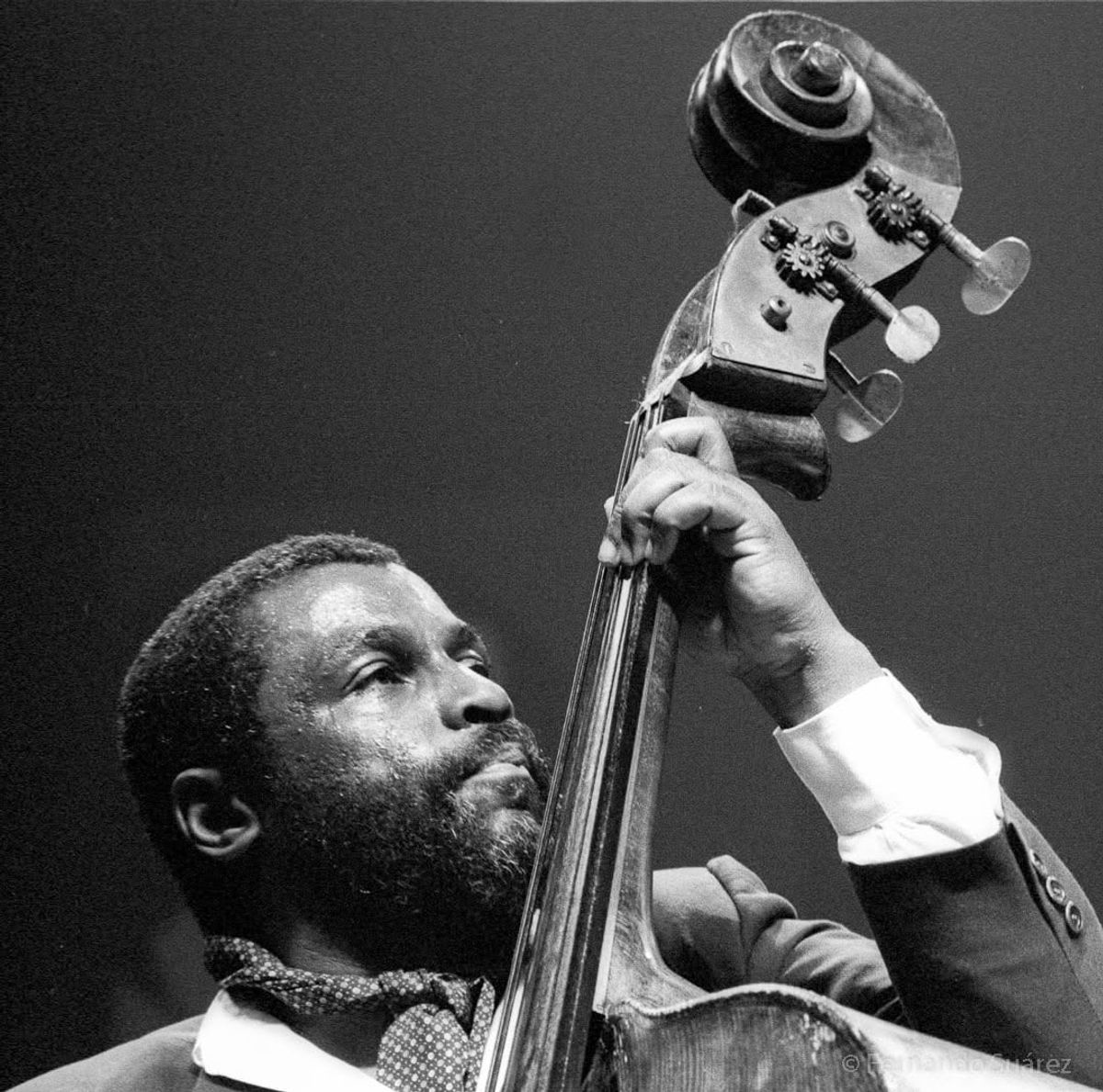 Herbie Lewis