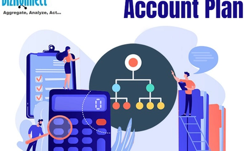 Account plan & org chart