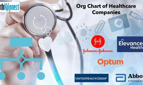 Health company org chart