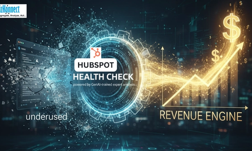 HubSpot Health Check BizKonnect