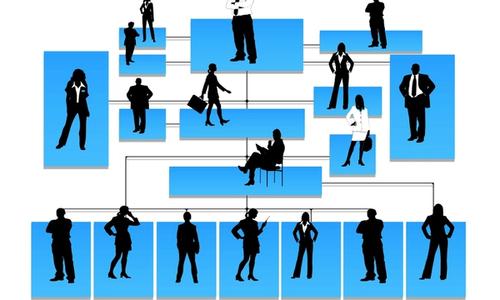 Org Chart