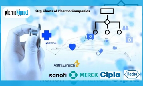 Pharma company org charts