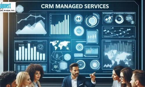 CRM managed services