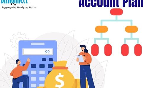 Account Planning