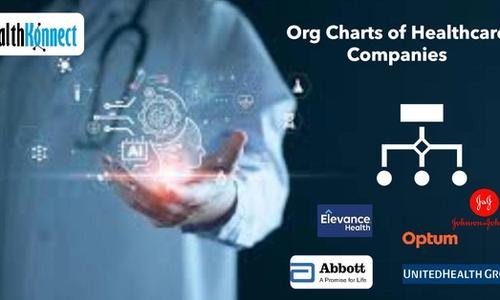 Healthcare org charts