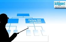 Fortune500 Company Org Chart