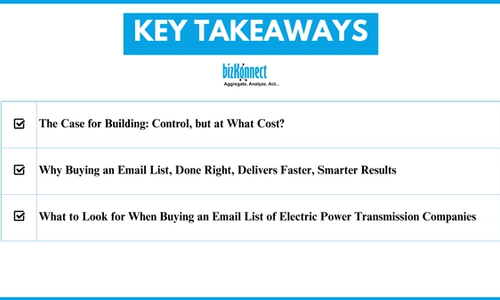 Email List Buying vs Building Guide