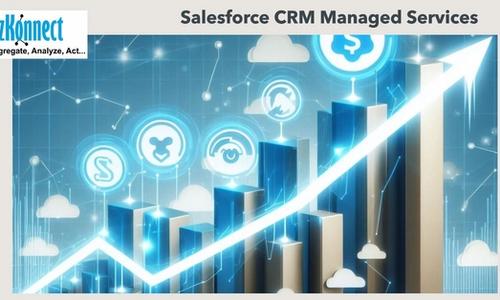 Salesforce CRM managed services