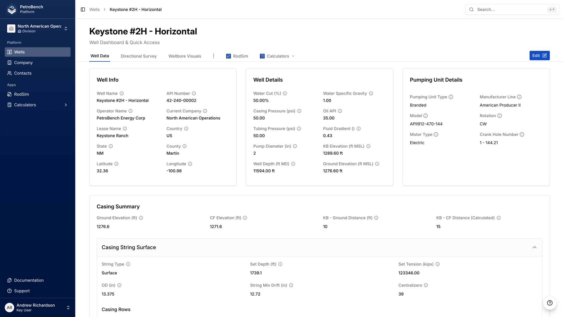 PetroBench well setup - well detail page overview