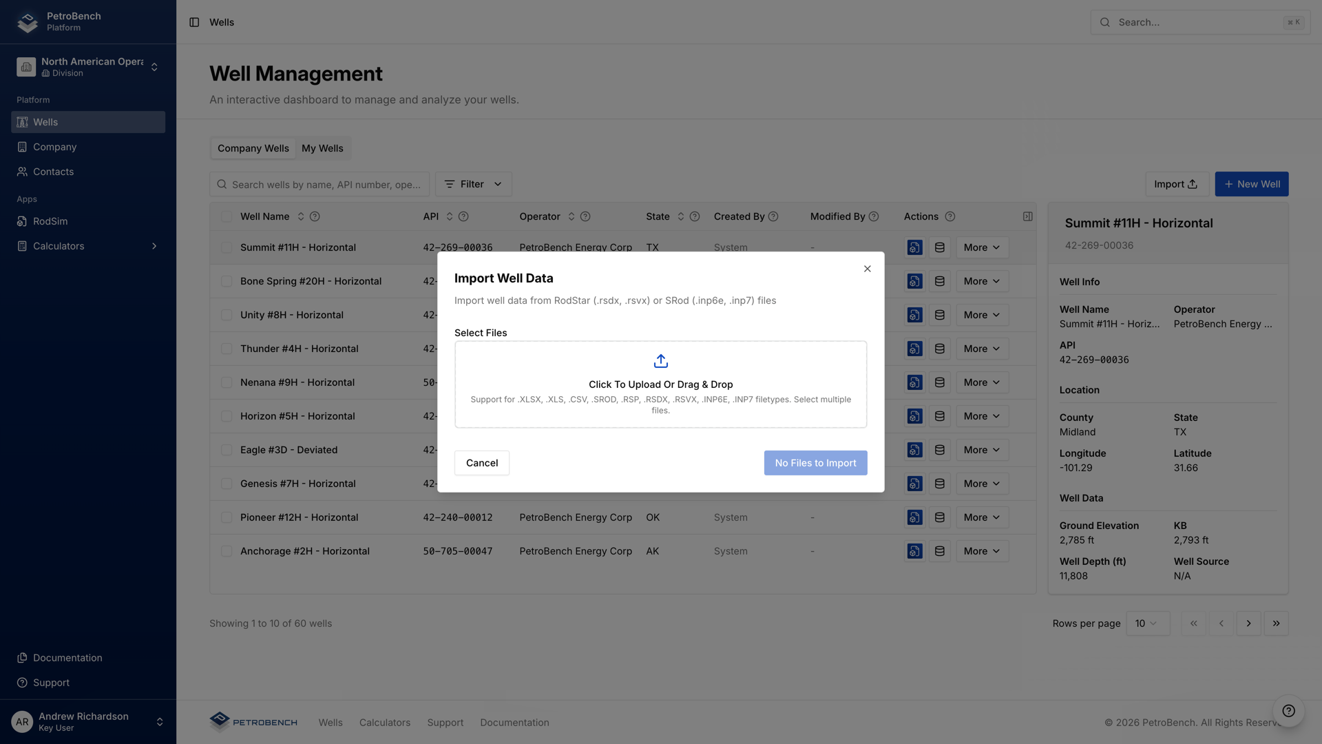 PetroBench import dialog supporting RodStar and S-Rod file formats