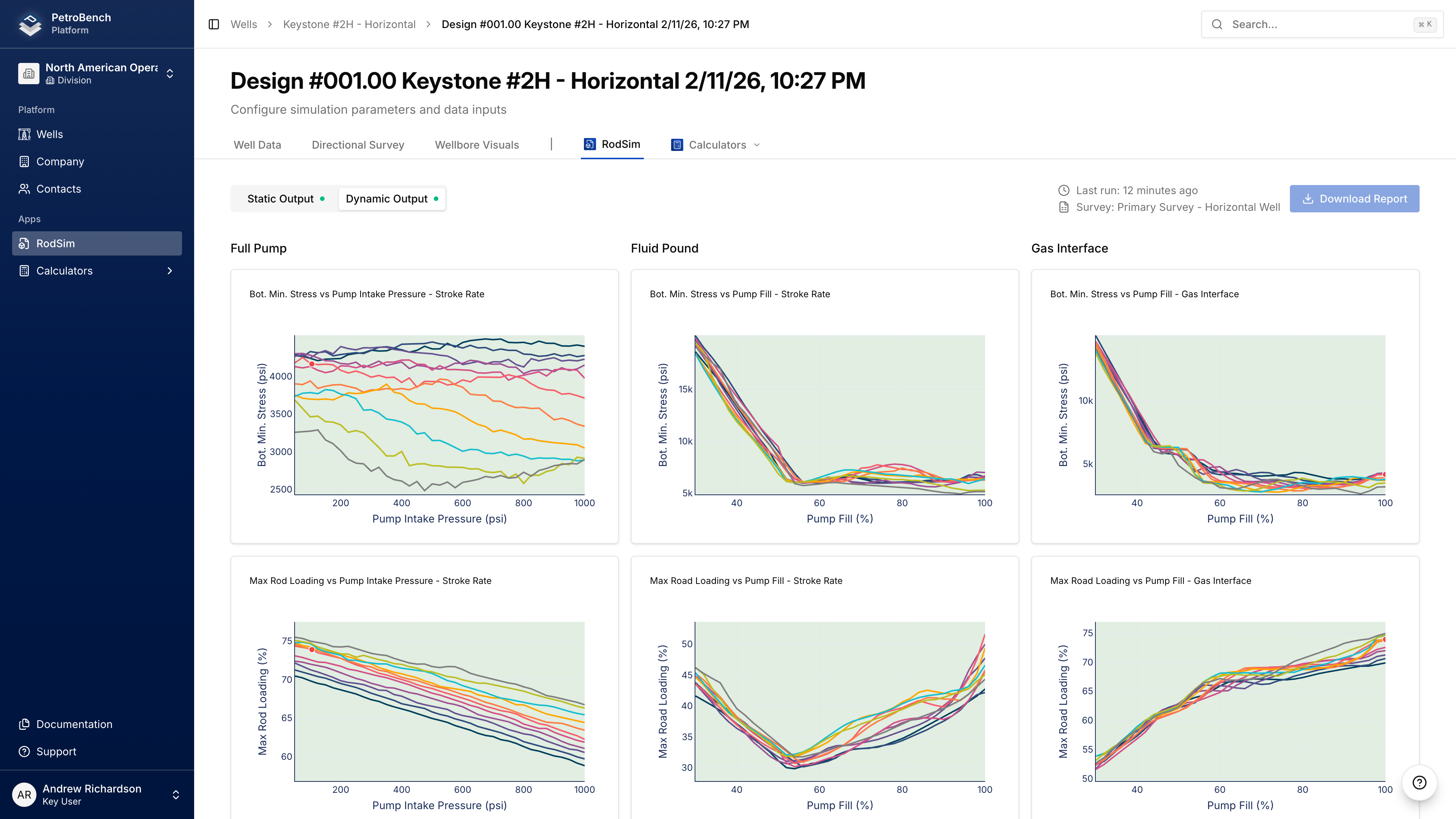 PetroBench dynamic output showing full pump, fluid pound, and gas interface analysis tabs with sensitivity curves