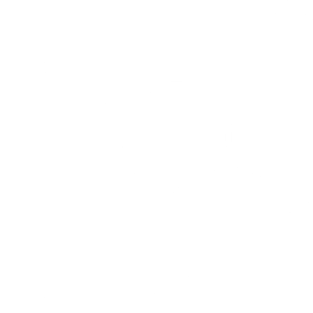 Telecommunications Company