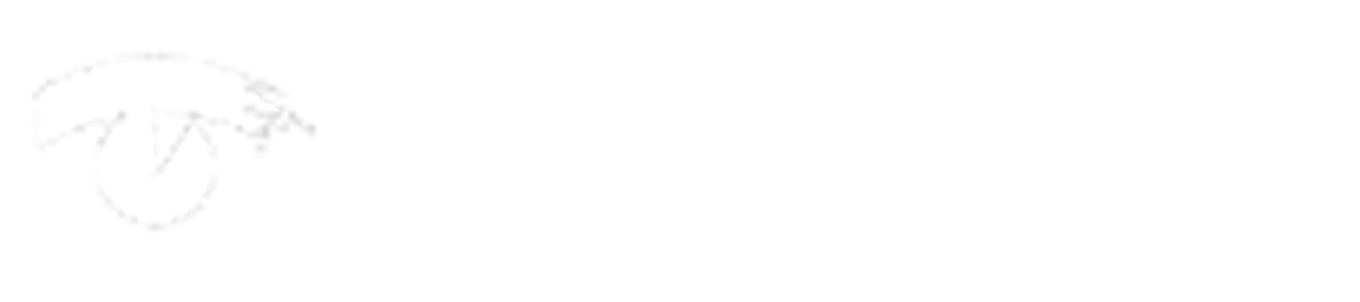 Visionworks