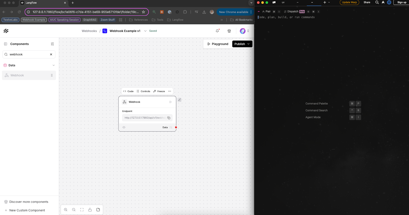 Langflow Local Instance and Warp Terminal