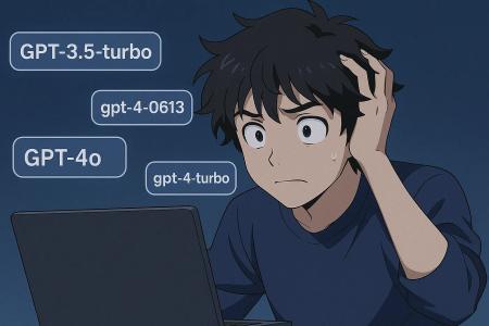 A typical developer's reaction to myriad model options