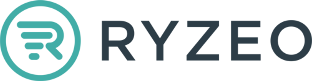Ryzeo Unlocks Advantages of Rapid Data Ingestion and Analysis for E-Commerce Merchants