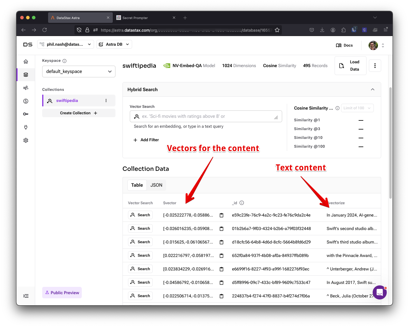 Viewing the Data Explorer in Astra DB. There should be a table of the content that you have ingested, in the $vectorize column you will find the text data and in the $vector column, the vector data that the database created for you.