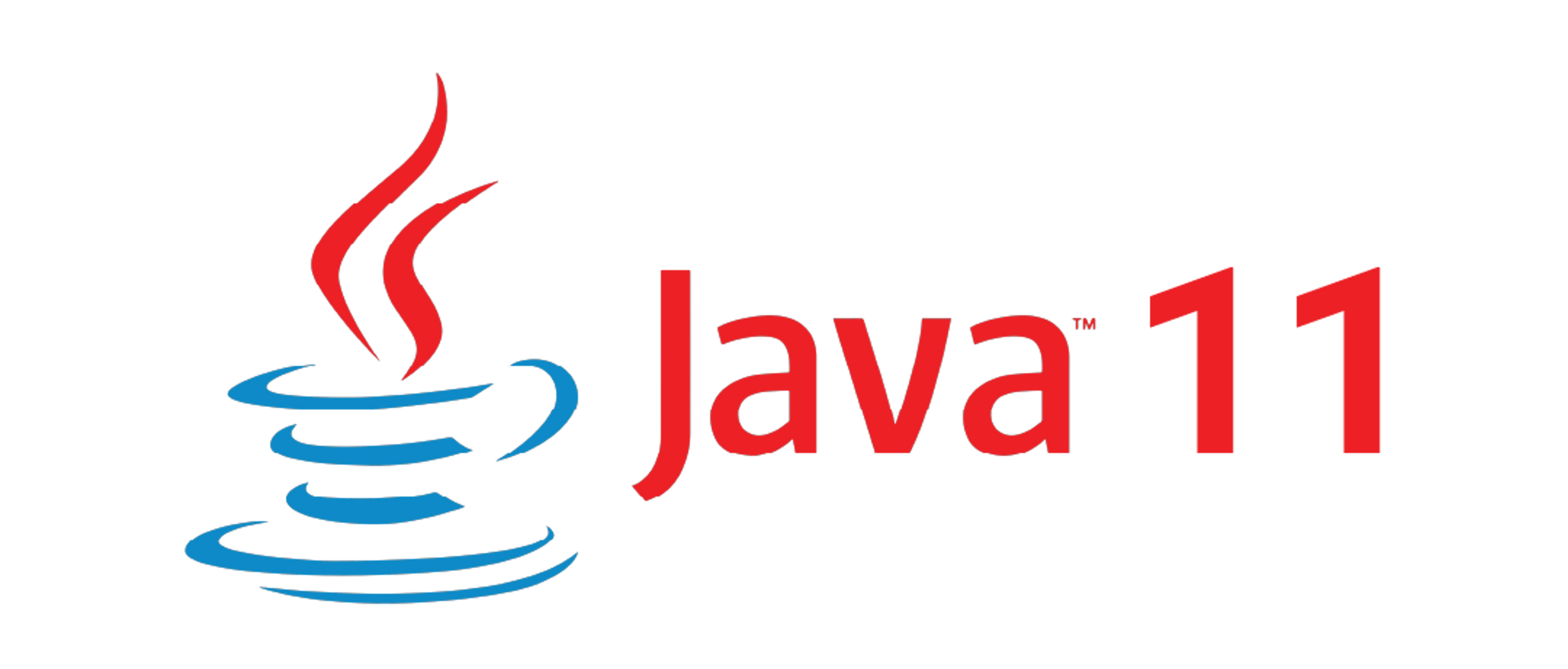 Java 11 Support