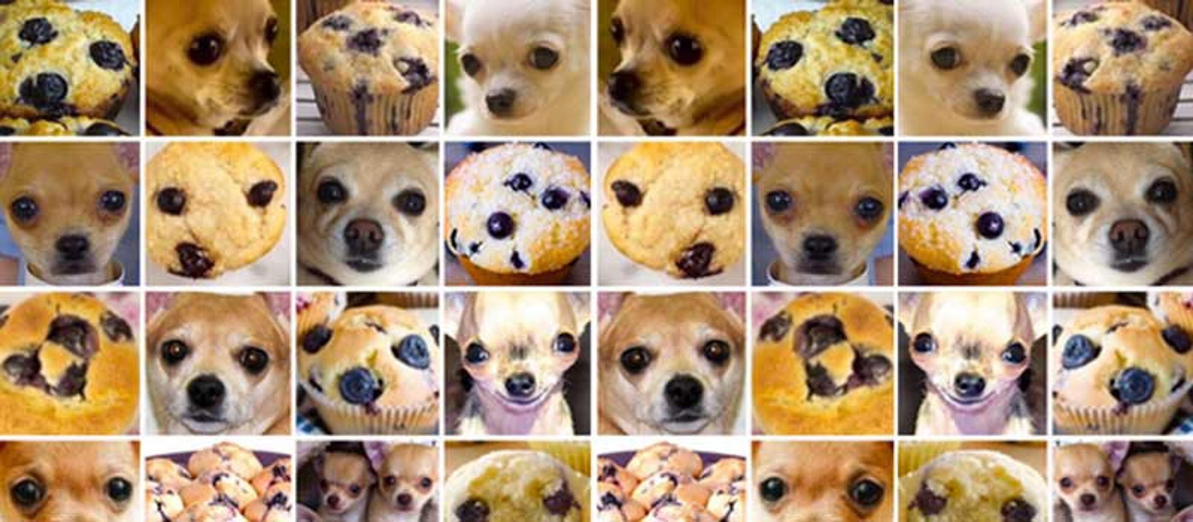 Chihuahua or Blueberry Muffin?​​​​‌﻿‍﻿​‍​‍‌‍﻿﻿‌﻿​‍‌‍‍‌‌‍‌﻿‌‍‍‌‌‍﻿‍​‍​‍​﻿‍‍​‍​‍‌﻿​﻿‌‍​‌‌‍﻿‍‌‍‍‌‌﻿‌​‌﻿‍‌​‍﻿‍‌‍‍‌‌‍﻿﻿​‍​‍​‍﻿​​‍​‍‌‍‍​‌﻿​‍‌‍‌‌‌‍‌‍​‍​‍​﻿‍‍​‍​‍‌‍‍​‌﻿‌​‌﻿‌​‌﻿​​‌﻿​﻿​﻿‍‍​‍﻿﻿​‍﻿﻿‌‍‌​‌‍​‌‌﻿‌​‌‍​‌‌﻿​﻿‌﻿‌​‌‍​‌‌﻿‍​​‍﻿‍‌﻿​﻿‌‍​‌‌‍﻿‍‌‍‍‌‌﻿‌​‌﻿‍‌​‍﻿‍‌﻿​﻿‌﻿‌​‌﻿‌‌‌‍‌​‌‍‍‌‌‍﻿﻿​‍﻿﻿‌‍‍‌‌‍﻿‍‌﻿‌​‌‍‌‌‌‍﻿‍‌﻿‌​​‍﻿﻿‌‍‌‌‌‍‌​‌‍‍‌‌﻿‌​​‍﻿﻿‌‍﻿‌‌‍﻿﻿‌‍‌​‌‍‌‌​﻿﻿‌‌﻿​​‌﻿​‍‌‍‌‌‌﻿​﻿‌‍‌‌‌‍﻿‍‌﻿‌​‌‍​‌‌﻿‌​‌‍‍‌‌‍﻿﻿‌‍﻿‍​﻿‍﻿‌‍‍‌‌‍‌​​﻿﻿‌‌‍‌‌​﻿​​​﻿​​‌‍​﻿‌‍‌‌​﻿‌‍‌‍‌‍​﻿‌‍​‍﻿‌​﻿​​‌‍​﻿‌‍‌‍​﻿​‍​‍﻿‌​﻿‌​‌‍​﻿​﻿‌‌‌‍​‌​‍﻿‌​﻿‍​‌‍​﻿​﻿‍​​﻿​‍​‍﻿‌‌‍​‍​﻿‍​​﻿​‍‌‍‌​​﻿‍‌‌‍‌‌‌‍‌​‌‍‌‌​﻿‌﻿​﻿‌​​﻿​​​﻿​‌​﻿‍﻿‌﻿‌​‌﻿‍‌‌﻿​​‌‍‌‌​﻿﻿‌‌﻿​​‌‍​‌‌‍‌﻿‌‍‌‌​‍﻿‍‌﻿​﻿‌‍‌‌‌‍﻿﻿​﻿‍﻿‌﻿​​‌‍​‌‌﻿‌​‌‍‍​​﻿﻿‌‌﻿​﻿‌‍‌‌‌‍​﻿‌﻿‌​‌‍‍‌‌‍﻿﻿‌‍﻿‍‌﻿​﻿​‍‌‌​﻿‌‌‌​​‍‌‌﻿﻿‌‍‍﻿‌‍‌‌‌﻿‍‌​‍‌‌​﻿​﻿‌​‌​​‍‌‌​﻿​﻿‌​‌​​‍‌‌​﻿​‍​﻿​‍‌‍​﻿​﻿‍​​﻿‌‌‌‍‌‌‌‍​‌​﻿​​​﻿‌‍​﻿​​‌‍‌‍‌‍‌‍​﻿‌​‌‍‌‍​﻿​​​﻿‌‌‌‍‌​‌‍​‌‌‍‌​​﻿‌​​﻿‌﻿​﻿​​‌‍​﻿​﻿​​​﻿‌‌‌‍​‍​﻿‌‌​﻿​​‌‍​‌‌‍‌‌​﻿‌‍​﻿‌‍​﻿​﻿​﻿‌‍​‍‌‌​﻿​‍​﻿​‍​‍‌‌​﻿‌‌‌​‌​​‍﻿‍‌‍​﻿‌‍﻿﻿‌‍﻿‍‌﻿‌​‌‍‌‌‌‍﻿‍‌﻿‌​​‍‌‌​﻿‌‌‌​​‍‌‌﻿﻿‌‍‍﻿‌‍‌‌‌﻿‍‌​‍‌‌​﻿​﻿‌​‌​​‍‌‌​﻿​﻿‌​‌​​‍‌‌​﻿​‍​﻿​‍​﻿‍‌‌‍​﻿​﻿‍​​﻿​‌​﻿‌‍‌‍​‌‌‍​‌​﻿​​‌‍‌‌​﻿‍​​﻿‍‌​﻿‌​​‍‌‌​﻿​‍​﻿​‍​‍‌‌​﻿‌‌‌​‌​​‍﻿‍‌‍​‌‌‍﻿​‌﻿‌​​﻿﻿﻿‌‍​‍‌‍​‌‌﻿​﻿‌‍‌‌‌‌‌‌‌﻿​‍‌‍﻿​​﻿﻿‌‌‍‍​‌﻿‌​‌﻿‌​‌﻿​​‌﻿​﻿​‍‌‌​﻿​﻿‌​​‌​‍‌‌​﻿​‍‌​‌‍​‍‌‌​﻿​‍‌​‌‍‌‍‌​‌‍​‌‌﻿‌​‌‍​‌‌﻿​﻿‌﻿‌​‌‍​‌‌﻿‍​​‍﻿‍‌﻿​﻿‌‍​‌‌‍﻿‍‌‍‍‌‌﻿‌​‌﻿‍‌​‍﻿‍‌﻿​﻿‌﻿‌​‌﻿‌‌‌‍‌​‌‍‍‌‌‍﻿﻿​‍‌‍‌‍‍‌‌‍‌​​﻿﻿‌‌‍‌‌​﻿​​​﻿​​‌‍​﻿‌‍‌‌​﻿‌‍‌‍‌‍​﻿‌‍​‍﻿‌​﻿​​‌‍​﻿‌‍‌‍​﻿​‍​‍﻿‌​﻿‌​‌‍​﻿​﻿‌‌‌‍​‌​‍﻿‌​﻿‍​‌‍​﻿​﻿‍​​﻿​‍​‍﻿‌‌‍​‍​﻿‍​​﻿​‍‌‍‌​​﻿‍‌‌‍‌‌‌‍‌​‌‍‌‌​﻿‌﻿​﻿‌​​﻿​​​﻿​‌​‍‌‍‌﻿‌​‌﻿‍‌‌﻿​​‌‍‌‌​﻿﻿‌‌﻿​​‌‍​‌‌‍‌﻿‌‍‌‌​‍﻿‍‌﻿​﻿‌‍‌‌‌‍﻿﻿​‍‌‍‌﻿​​‌‍​‌‌﻿‌​‌‍‍​​﻿﻿‌‌﻿​﻿‌‍‌‌‌‍​﻿‌﻿‌​‌‍‍‌‌‍﻿﻿‌‍﻿‍‌﻿​﻿​‍‌‌​﻿‌‌‌​​‍‌‌﻿﻿‌‍‍﻿‌‍‌‌‌﻿‍‌​‍‌‌​﻿​﻿‌​‌​​‍‌‌​﻿​﻿‌​‌​​‍‌‌​﻿​‍​﻿​‍‌‍​﻿​﻿‍​​﻿‌‌‌‍‌‌‌‍​‌​﻿​​​﻿‌‍​﻿​​‌‍‌‍‌‍‌‍​﻿‌​‌‍‌‍​﻿​​​﻿‌‌‌‍‌​‌‍​‌‌‍‌​​﻿‌​​﻿‌﻿​﻿​​‌‍​﻿​﻿​​​﻿‌‌‌‍​‍​﻿‌‌​﻿​​‌‍​‌‌‍‌‌​﻿‌‍​﻿‌‍​﻿​﻿​﻿‌‍​‍‌‌​﻿​‍​﻿​‍​‍‌‌​﻿‌‌‌​‌​​‍﻿‍‌‍​﻿‌‍﻿﻿‌‍﻿‍‌﻿‌​‌‍‌‌‌‍﻿‍‌﻿‌​​‍‌‌​﻿‌‌‌​​‍‌‌﻿﻿‌‍‍﻿‌‍‌‌‌﻿‍‌​‍‌‌​﻿​﻿‌​‌​​‍‌‌​﻿​﻿‌​‌​​‍‌‌​﻿​‍​﻿​‍​﻿‍‌‌‍​﻿​﻿‍​​﻿​‌​﻿‌‍‌‍​‌‌‍​‌​﻿​​‌‍‌‌​﻿‍​​﻿‍‌​﻿‌​​‍‌‌​﻿​‍​﻿​‍​‍‌‌​﻿‌‌‌​‌​​‍﻿‍‌‍​‌‌‍﻿​‌﻿‌​​‍‌‍‌﻿​​‌‍‌‌‌﻿​‍‌﻿​﻿‌﻿​​‌‍‌‌‌‍​﻿‌﻿‌​‌‍‍‌‌﻿‌‍‌‍‌‌​﻿﻿‌‌﻿​​‌﻿‌‌‌‍​‍‌‍﻿​‌‍‍‌‌﻿​﻿‌‍‍​‌‍‌‌‌‍‌​​‍​‍‌﻿﻿‌