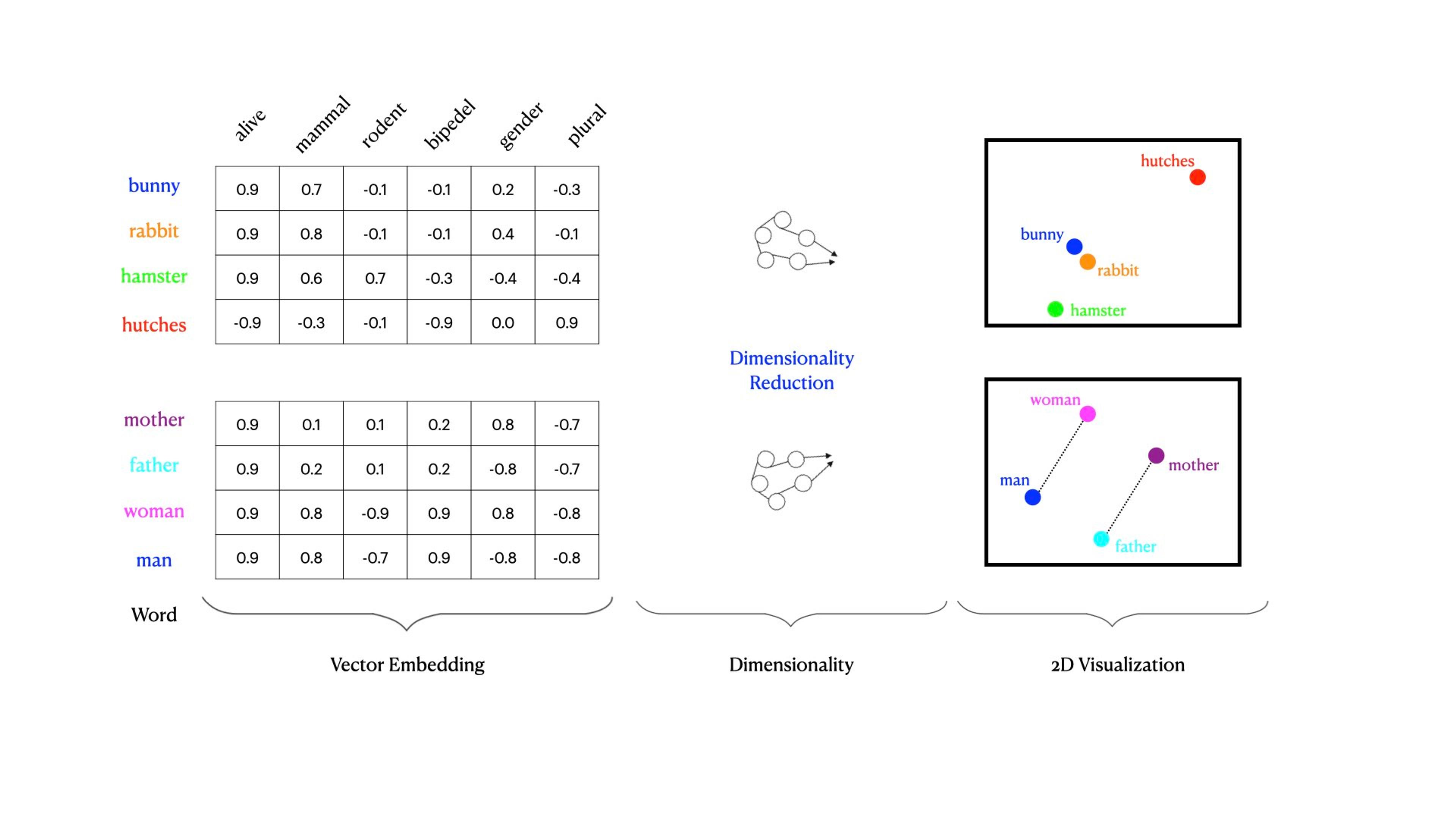 Vector embedding table dimensionality and visualization 
